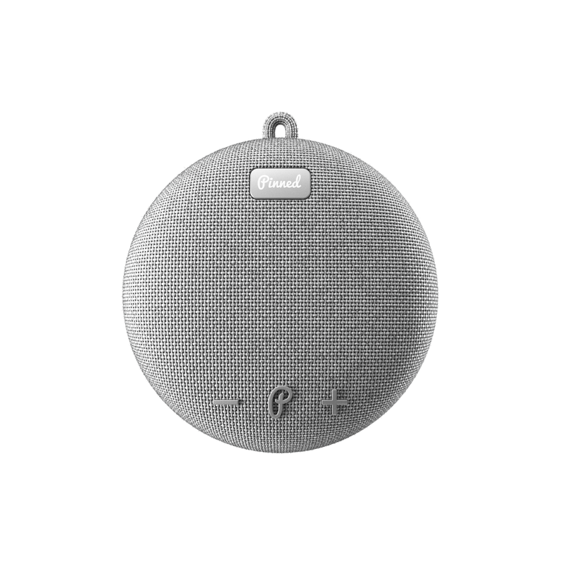Dart 2.0 Speaker