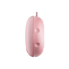 Dart 2.0 Speaker